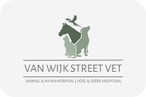 vwsver-logo